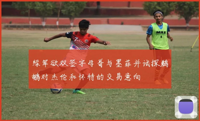绿军欲双签字母哥与墨菲并试探鹈鹕对杰伦和怀特的交易意向